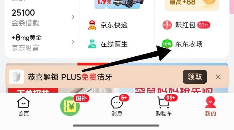 京东APP-我的东东农场 部分用户弹0.5小虹包